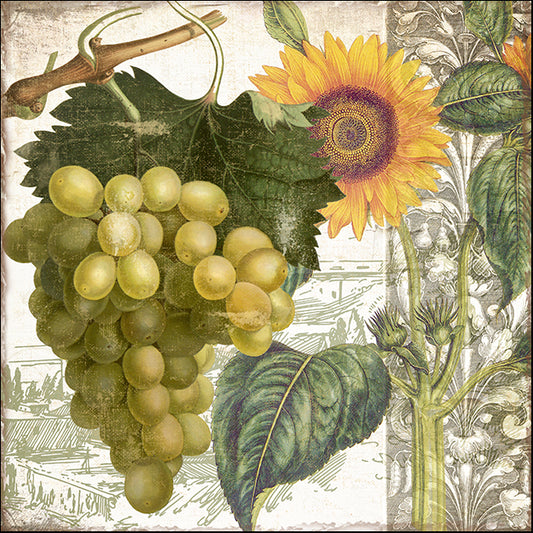 COLBAK141965 Dolcetto III, by Color Bakery, available in multiple sizes - Chamton