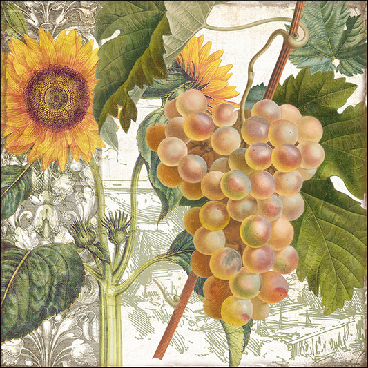 COLBAK141966 Dolcetto IV, by Color Bakery, available in multiple sizes