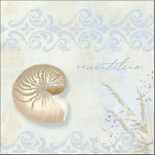 COLBAK144719 She Sells Seashells I, by Color Bakery, available in multiple sizes
