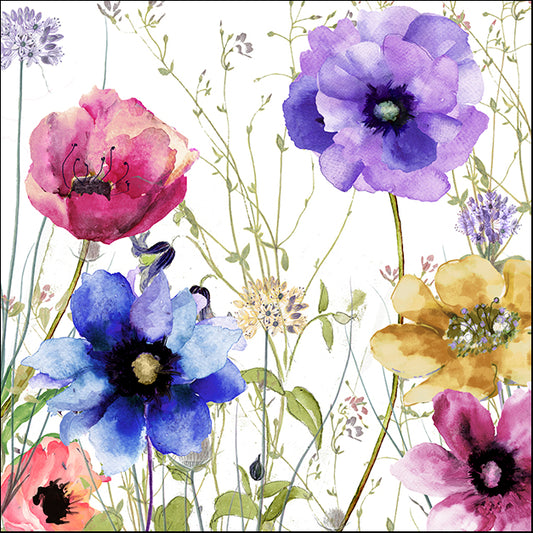 COLBAK144722 Summer Diary II, by Color Bakery, available in multiple sizes