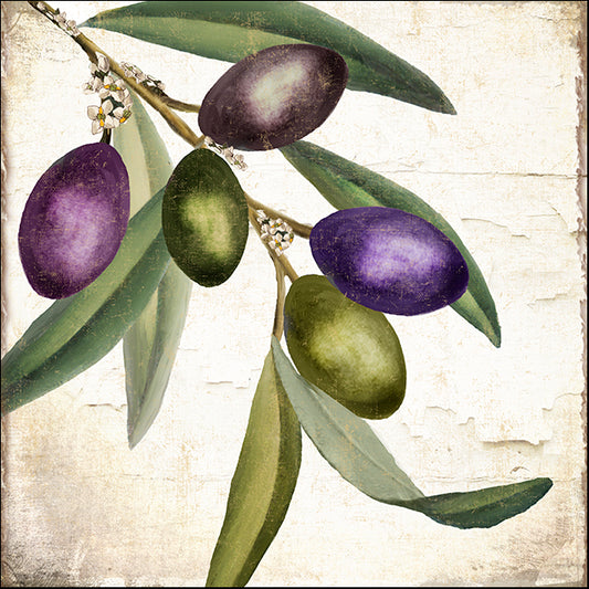 COLBAK145107 Olive Branch I, by Color Bakery, available in multiple sizes