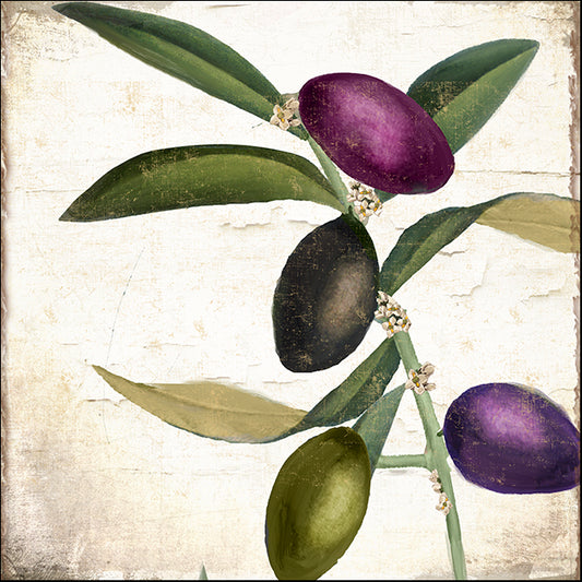 COLBAK145108 Olive Branch II, by Color Bakery, available in multiple sizes