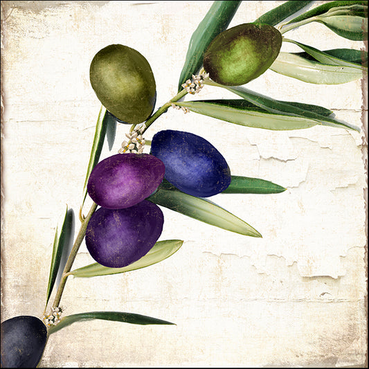 COLBAK145109 Olive Branch III, by Color Bakery, available in multiple sizes