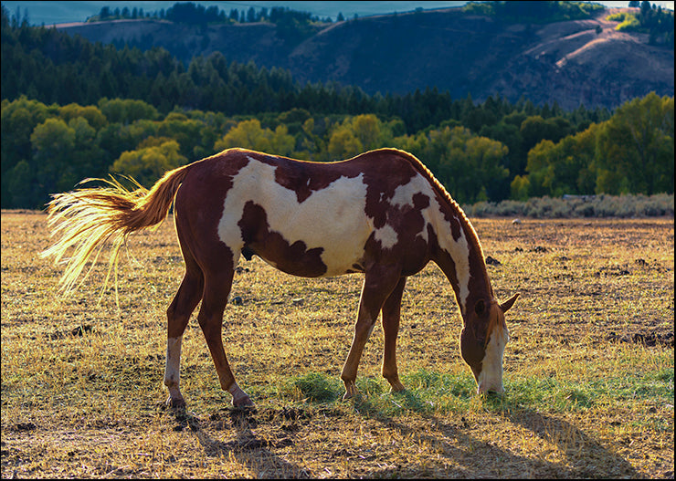 CRO-1422 Breakfast by Nancy Crowell, available in multiple sizes