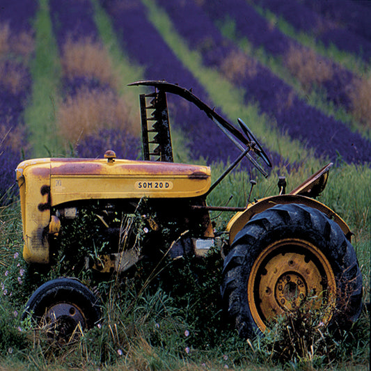 CS0425 Farm Tractor, available in multiple sizes - Chamton