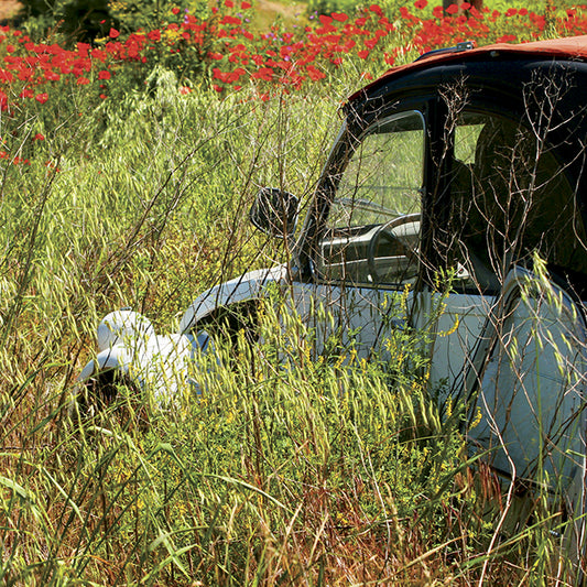CS0519 Hidden Away I,  available in multiple sizes