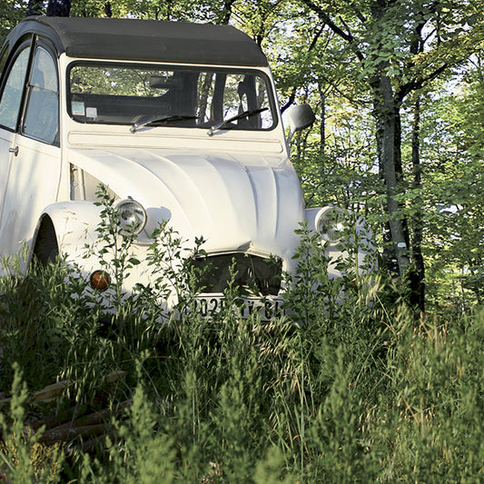 CS0520 Hidden Away II,  available in multiple sizes - Chamton