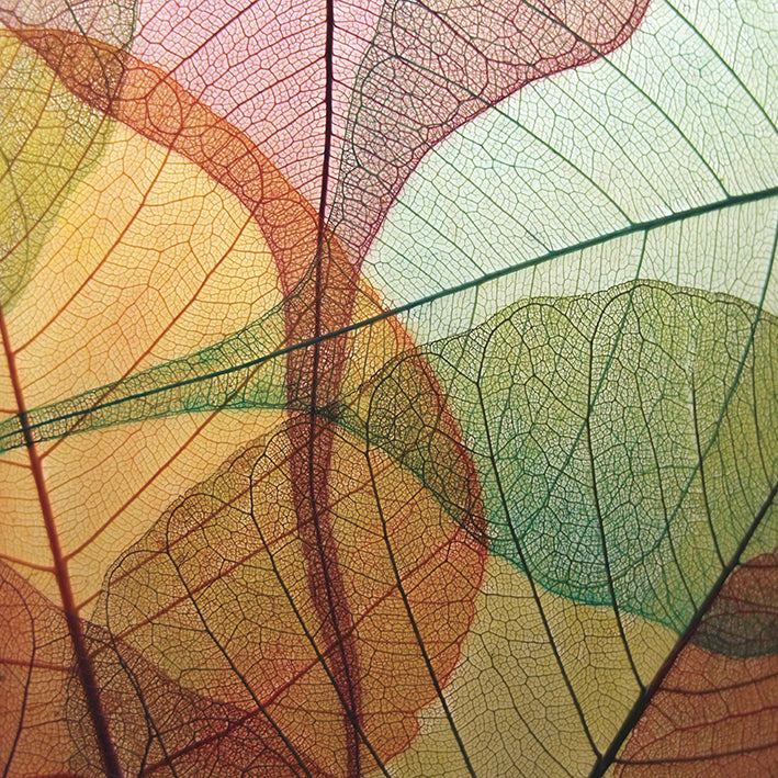 CST01 Veins of Life I, available in multiple sizes - Chamton