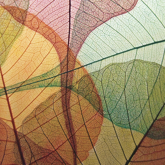 CST01 Veins of Life I, available in multiple sizes - Chamton