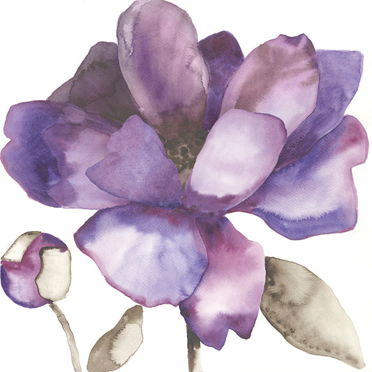 CT022-A, Purple Bloom I, available in multiple sizes