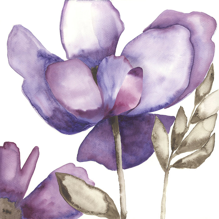CT023-A Purple Bloom II, available in multiple sizes