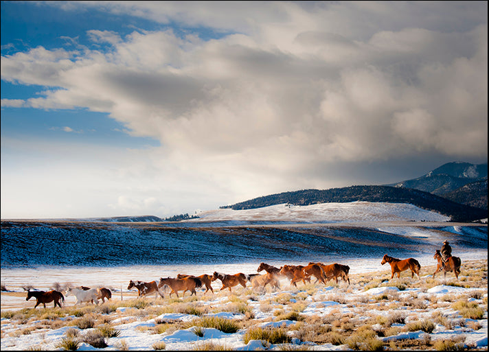 DANBAL112661 Heading Home, by Dan Ballard, available in multiple sizes