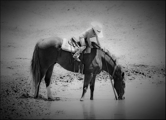 DANBAL112671 Refresh, by Dan Ballard, available in multiple sizes