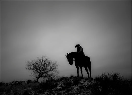 DANBAL112678 Silence, by Dan Ballard, available in multiple sizes - Chamton