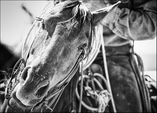 DANBAL112679 Soul of the West, by Dan Ballard, available in multiple sizes - Chamton