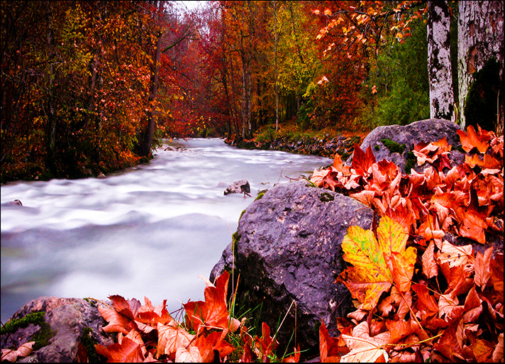 DANBAL112710 Autumn Flow, by Dan Ballard, available in multiple sizes
