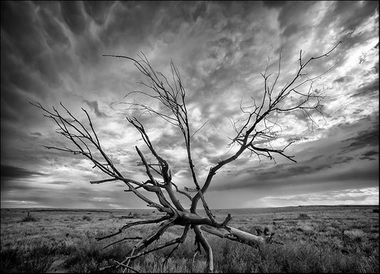 DANBAL112719 Colorado Storm, by Dan Ballard, available in multiple sizes