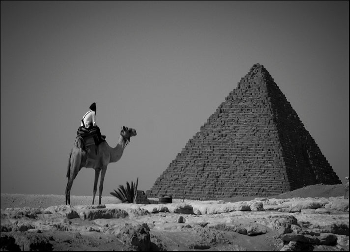 DANBAL112750 Looking Back, Jordan, by Dan Ballard, available in multiple sizes