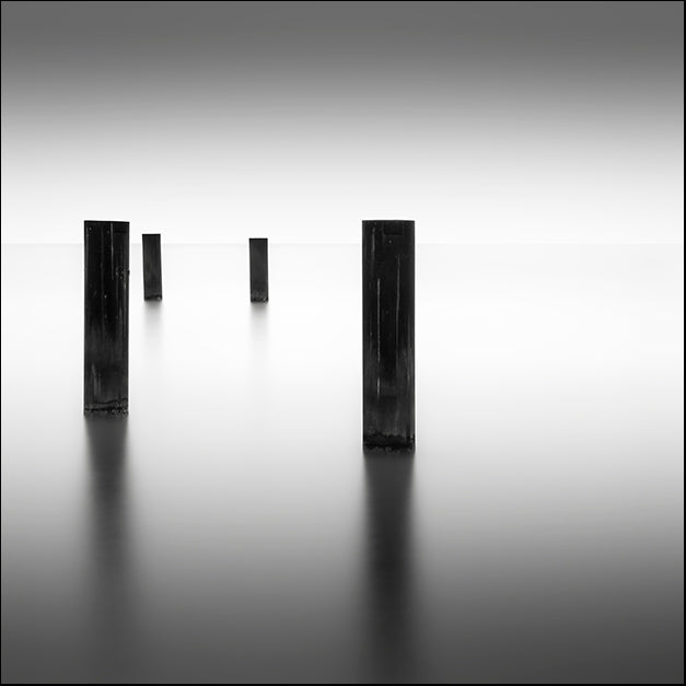 DAVMAC125440 Lucid, by Dave MacVicar, available in multiple sizes - Chamton