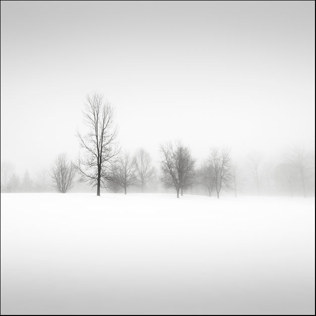 DAVMAC131607 Winter Fog, by Dave MacVicar, available in multiple sizes
