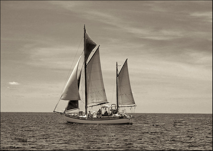 DE053-A Sail II, available in multiple sizes