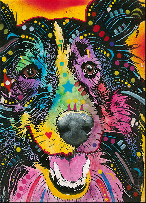 DEAEXL138356 Smiling Collie, by Dean Russo- Exclusive, available in multiple sizes