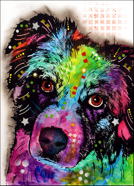 DEARUS125235 Aussie, by Dean Russo, available in multiple sizes