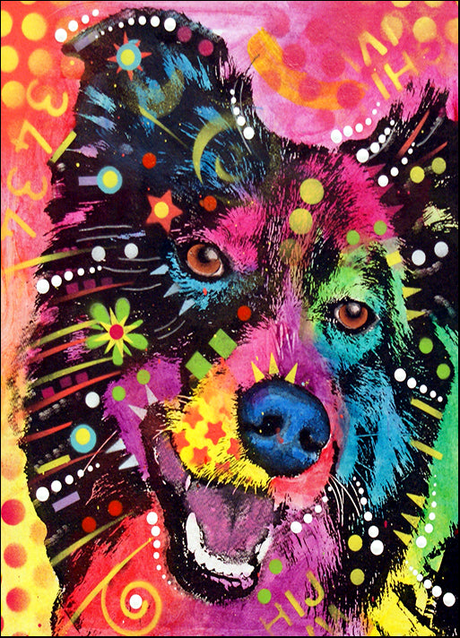 DEARUS125240 Border Collie 121109, by Dean Russo, available in multiple sizes
