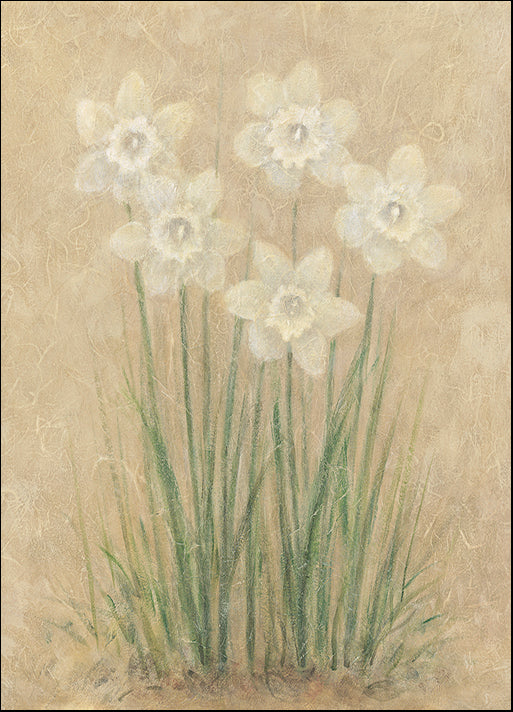 DEBLAK17543 D L0104, by Debra Lake, available in multiple sizes