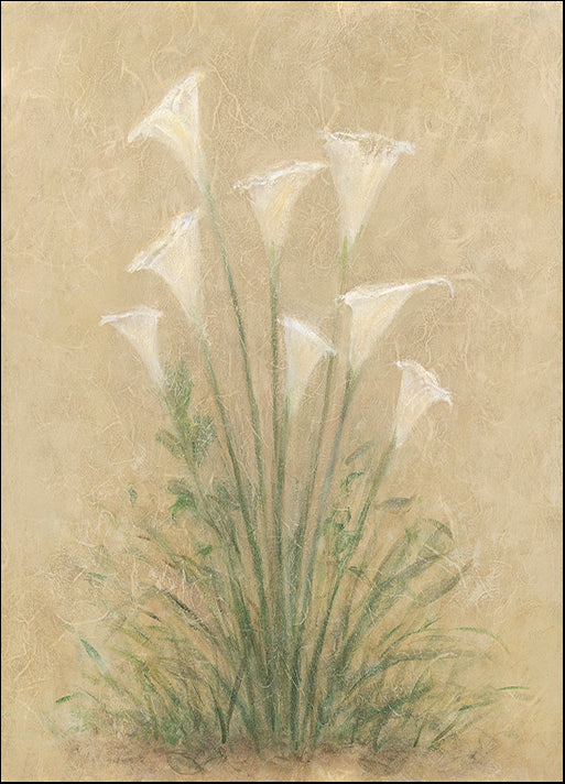 DEBLAK18101 D L0103, by Debra Lake, available in multiple sizes