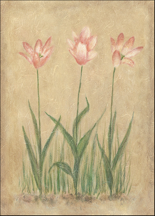 DEBLAK18102 D L0106, by Debra Lake, available in multiple sizes