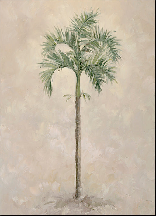DEBLAK34069 Palm Tree 4, by Debra Lake, available in multiple sizes