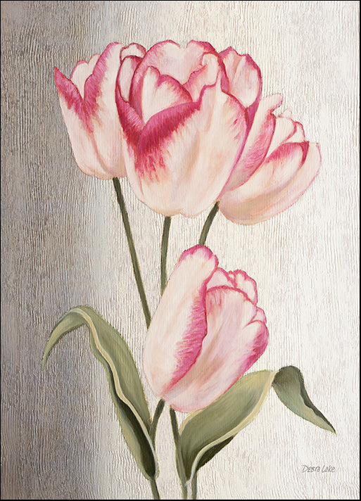 DEBLAK49714 Parrot Tulips, by Debra Lake, available in multiple sizes