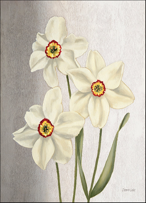 DEBLAK49715 Spring Narcissus, by Debra Lake, available in multiple sizes