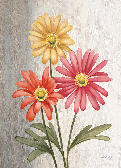 DEBLAK49716 Gerbera Daisies, by Debra Lake, available in multiple sizes