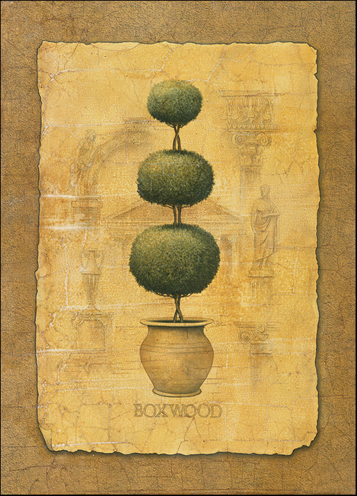 DEBLAK59003 Boxwood, by Debra Lake, available in multiple sizes