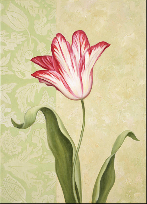 DEBLAK62482 Tulip, by Debra Lake, available in multiple sizes