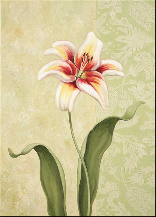 DEBLAK62483 Lily, by Debra Lake, available in multiple sizes