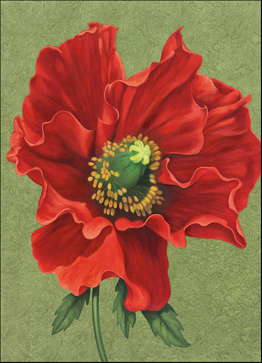 DEBLAK65373 Red Poppy 2, by Debra Lake, available in multiple sizes