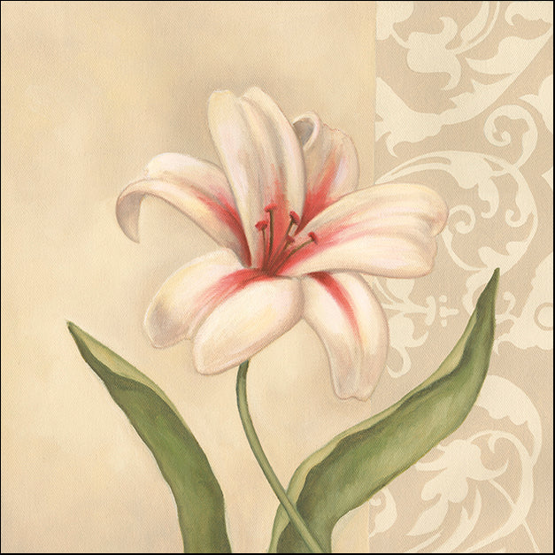 DEBLAK65386 Cream Lily, by Debra Lake, available in multiple sizes