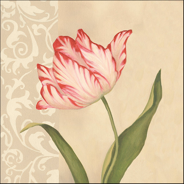 DEBLAK65387 Cream Tulip, by Debra Lake, available in multiple sizes