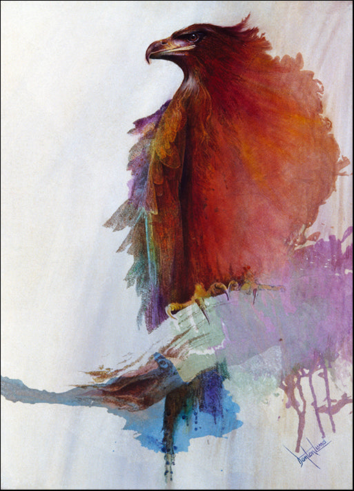 DENLUN64538 Rainbow Eagle, by Denton Lund, available in multiple sizes