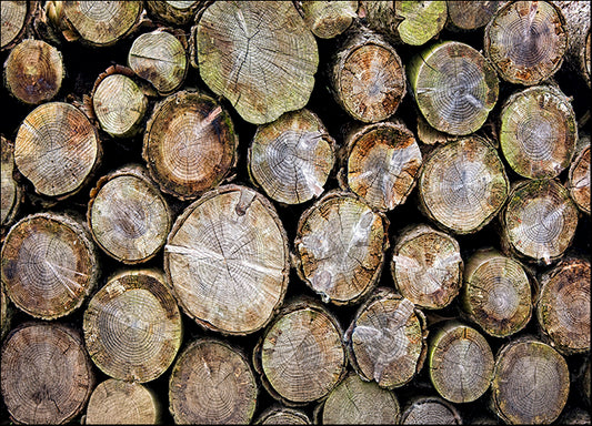 DESLAN128705 1938850, by DesignPics - Landscapes and Nature, available in multiple sizes