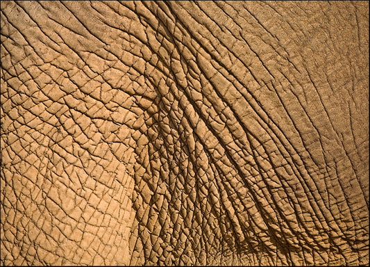 DESLAN128707 1963149, by DesignPics - Landscapes and Nature, available in multiple sizes