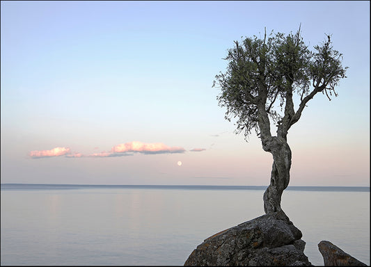 DESLAN134383 1964073, by DesignPics - Landscapes and Nature, available in multiple sizes