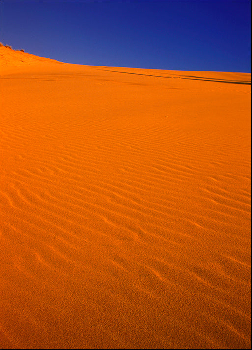DESLAN134475 28246, by DesignPics - Landscapes and Nature, available in multiple sizes