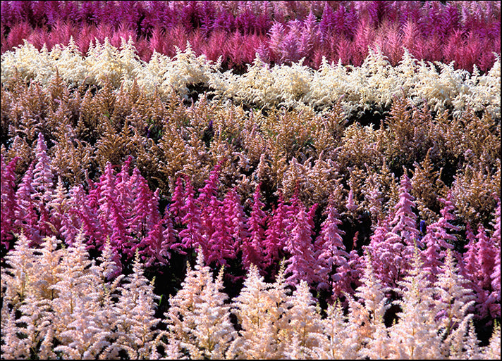 DESLAN134502 1773244, by DesignPics - Landscapes and Nature, available in multiple sizes
