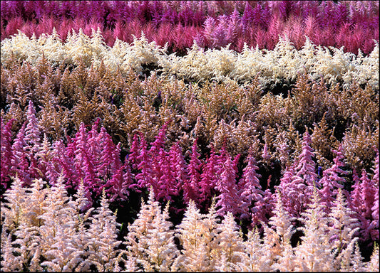 DESLAN134502 1773244, by DesignPics - Landscapes and Nature, available in multiple sizes