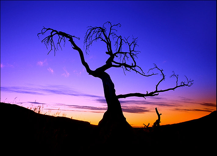 DESLAN135438 10354, by DesignPics - Landscapes and Nature, available in multiple sizes - Chamton
