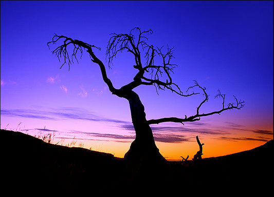DESLAN135438 10354, by DesignPics - Landscapes and Nature, available in multiple sizes - Chamton